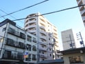 完成写真