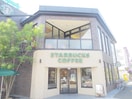 スターバックスカフェ(カフェ)まで546m タマキビル