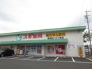 スギ薬局(ドラッグストア)まで440m セジュ－ル藤塚