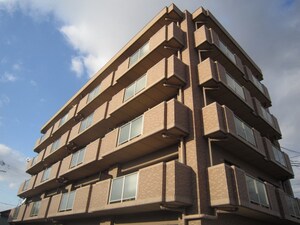 ジャスパー江南