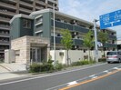 Ｃｉｅｌｏ　Ｓｅｒｅｎｏの外観