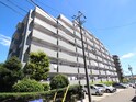 完成写真