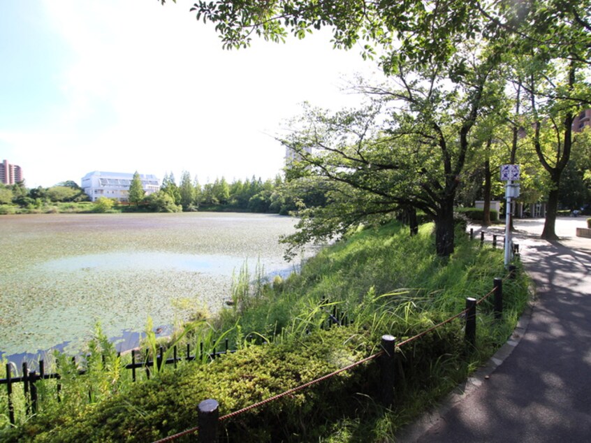 杁ケ池公園(公園)まで310m アルカディア　長久手