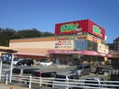 エクボ(スーパー)まで730m 近藤ハイツ
