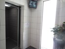 その他 ロイヤルピジョン　ライズ