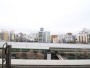 室内からの展望 J&T