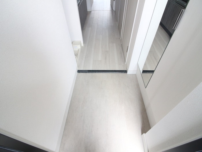 玄関 ﾌﾟﾚｻﾝｽ伏見ｱｰﾊﾞﾝﾍﾞｰｽ(301)