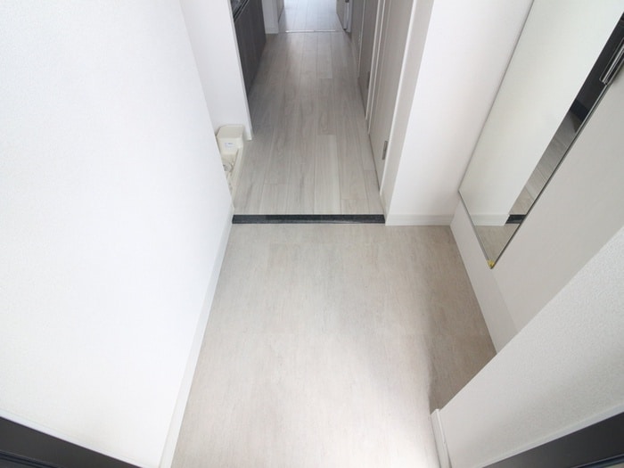 玄関 ﾌﾟﾚｻﾝｽ伏見ｱｰﾊﾞﾝﾍﾞｰｽ(302)