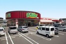 エクボ辻町店(スーパー)まで501m NAGOYA the CANAL
