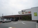 ドミー(スーパー)まで400m グリーンヒルズ明大寺