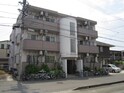 完成写真