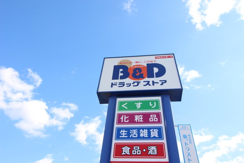 Ｂ＆Ｄストア(ドラッグストア)まで297m Entopia Domicile