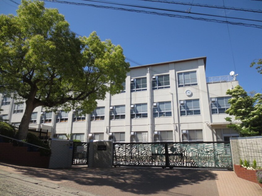 御幸山中学校(中学校/中等教育学校)まで830m 音聞ハイツ