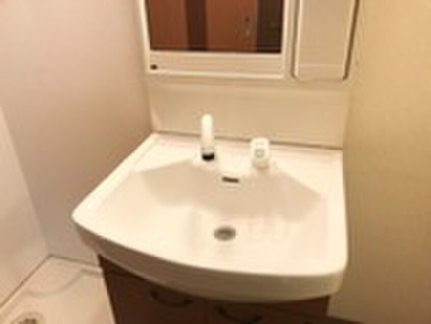 洗面 ロイヤル木の家２番館