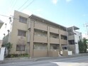 完成写真