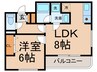 ドムス東栄 1LDKの間取り