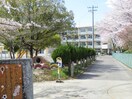 東野小学校(小学校)まで1050m ドシル