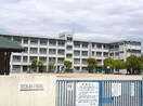 名和小学校(小学校)まで1030m サニーヒル平山B