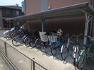 駐輪場 Ｄｕｏ　Ｍａｉｓｏｎ　Ｎ