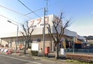 ナフコ(スーパー)まで800m Ｄｕｏ　Ｍａｉｓｏｎ　Ｎ