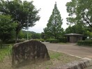 天白公園(公園)まで600m メープルコート