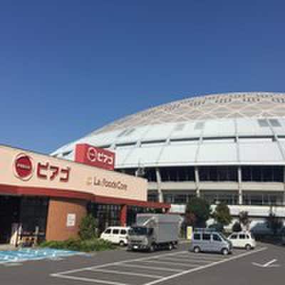 ピアゴ(スーパー)まで220m プレディアスタイル千種北