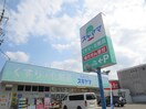 ドラッグストア春岡通店(ドラッグストア)まで360m 川名本町１丁目A棟