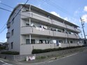 完成写真
