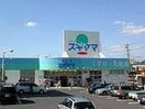 ドラッグスギヤマ(ドラッグストア)まで560m パレ大針
