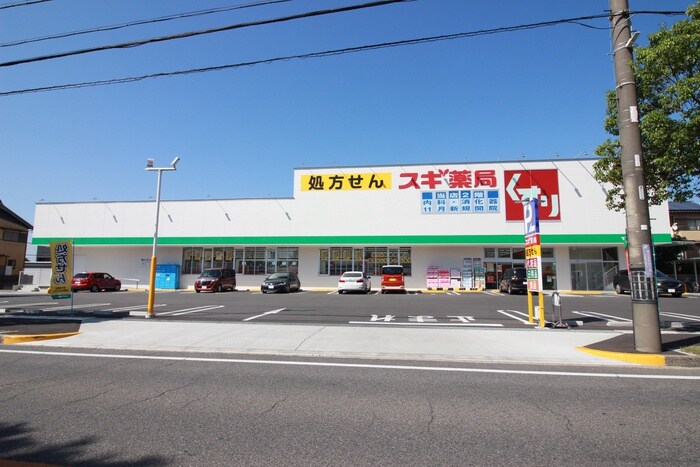 スギドラッグ富士見店(ドラッグストア)まで468m 大陽ビル