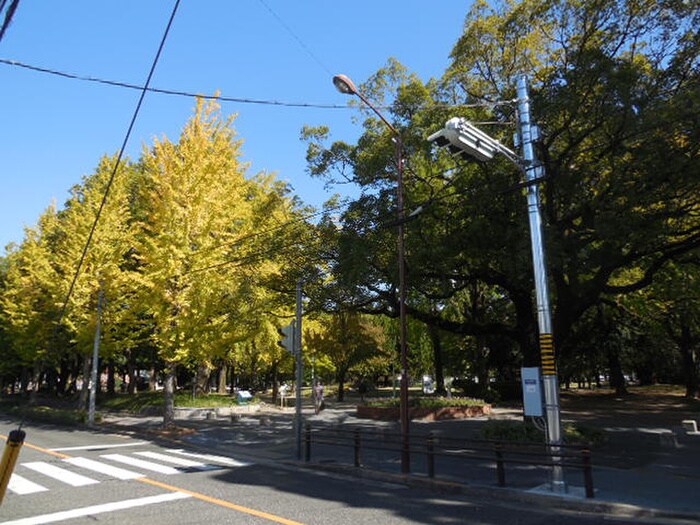 千種公園(公園)まで256m セイワソレイルコート