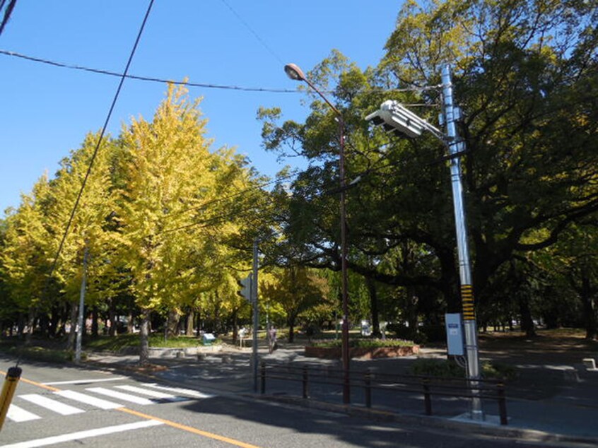 千種公園(公園)まで256m セイワソレイルコート