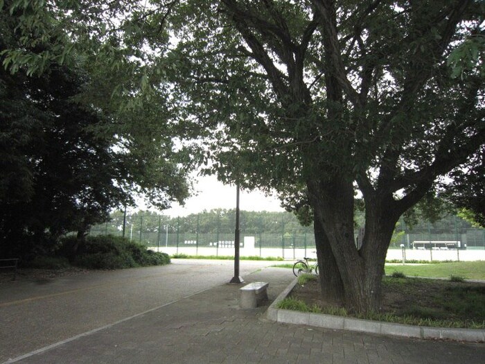 小幡緑地公園(公園)まで597m ウィット竜泉寺　A棟