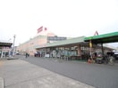 ピアゴ平針店(スーパー)まで870m フォレストフィ－ルド平針