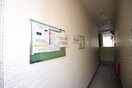 エントランス部分 Oak Tree Maison志賀