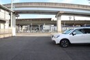 駐車場 グリーン