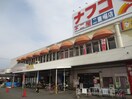 ナフコ不二屋(スーパー)まで1000m グリーン