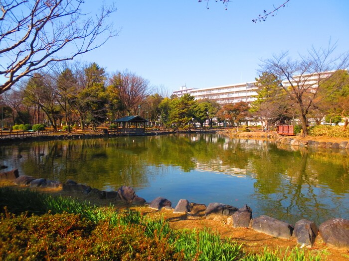 志賀公園(公園)まで724m スクエアコート