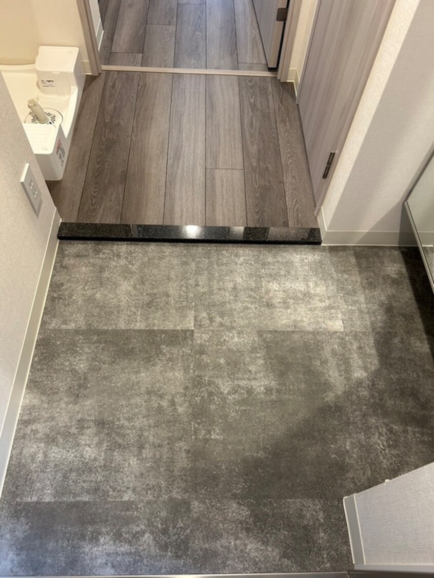 玄関 ﾌｧｽﾃｰﾄ名古屋駅前ｱﾙﾃｨｽ(207)