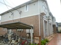 完成写真