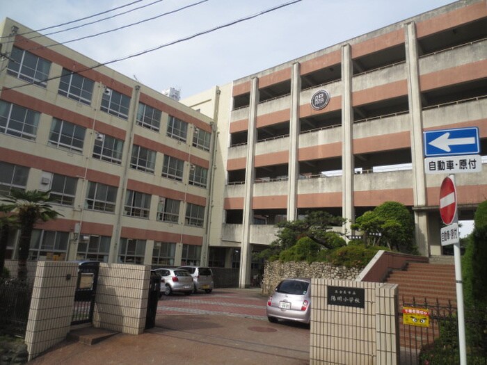 陽明小学校(小学校)まで1010m 八事ハイツ