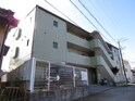 完成写真