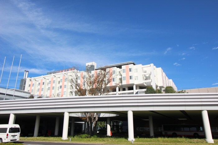 江南厚生病院(病院)まで950m カスカータⅣ