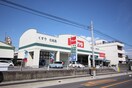 Vドラッグ東岡崎店(ドラッグストア)まで792m グリーンハート