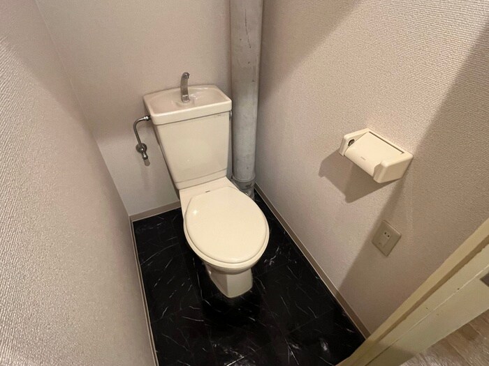 トイレ ドミトリー587