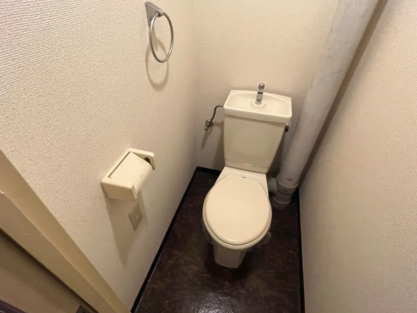 トイレ ドミトリー587