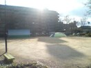 金屋第2公園(公園)まで227m ラフィ－ネ・大島