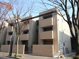 コレクション城西South