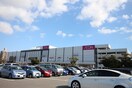 イオンスタイル(ショッピングセンター/アウトレットモール)まで750m けやき通り