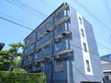 完成写真